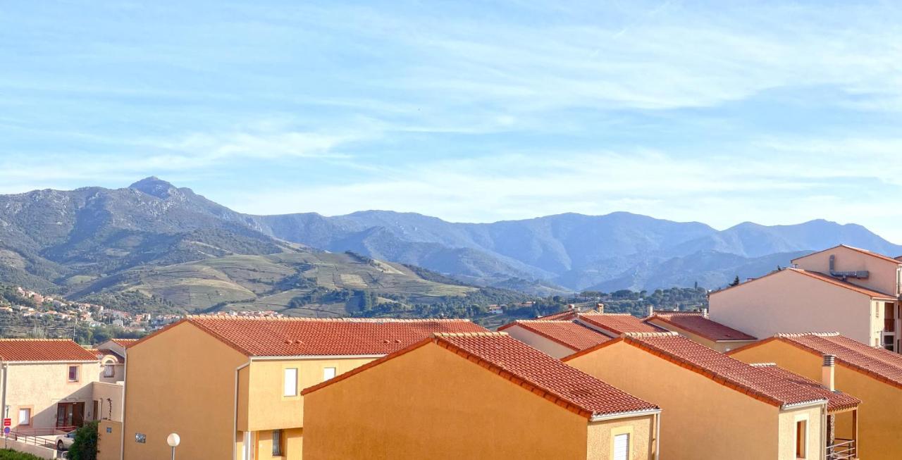 Appartement Lumineux Entre Plage Et Montagne Banyuls-sur-Mer Buitenkant foto